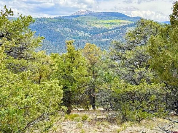 207 Wolf Creek Rd, South Fork, CO 81154