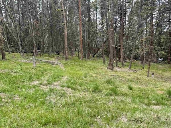 1301 Spruce Road, Cimarron, CO 81220