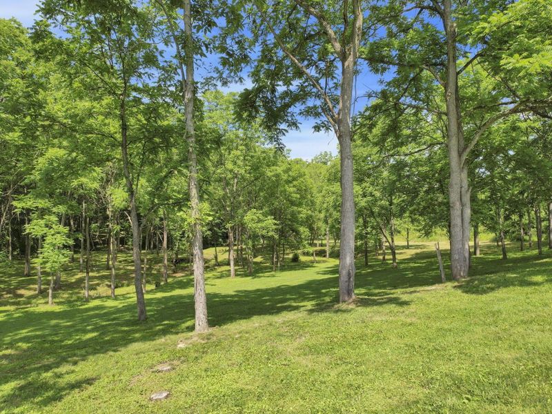 60145 Bliss Road , New Concord, OH 43762 Photo 50