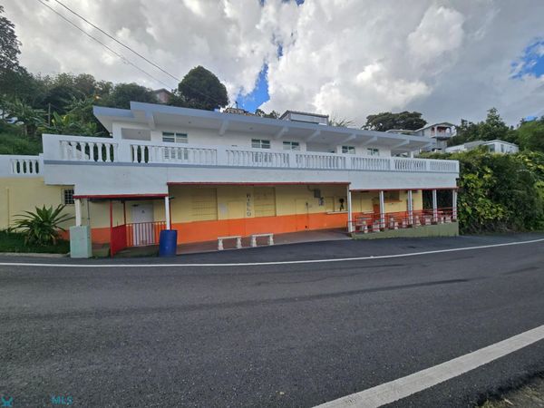 780 km 3.3 DOÑA ELENA, Comerio, PR 00782