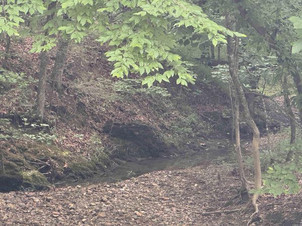 10 acres Liberty Road , Norman, AR 71960