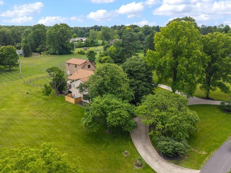 4528 Ravine Drive, Westerville, OH 43081 Photo 89