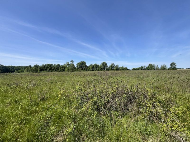 0 Boundary Road, Richwood, OH 43344 Photo 15