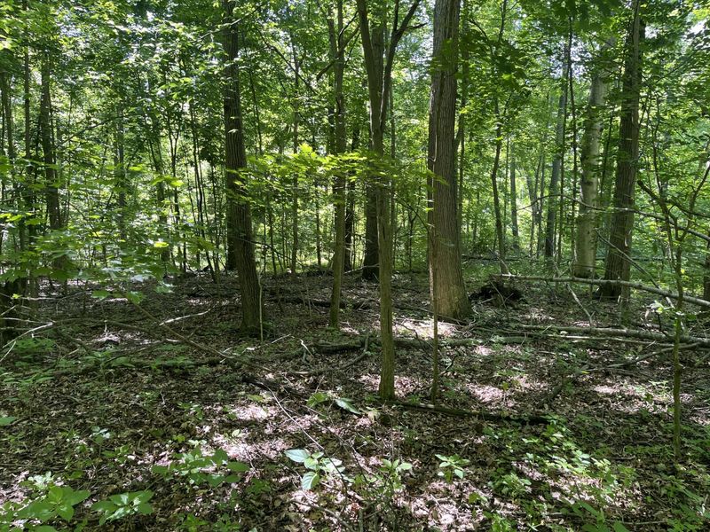 0 Boundary Road, Richwood, OH 43344 Photo 17