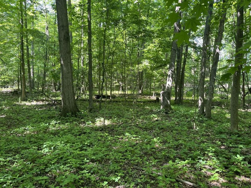 0 Boundary Road, Richwood, OH 43344 Photo 18