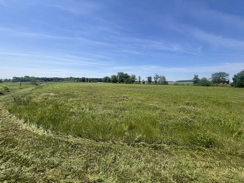 0 Boundary Road, Richwood, OH 43344 Photo 7