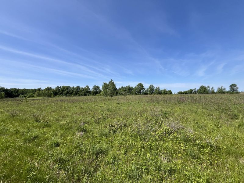0 Boundary Road, Richwood, OH 43344 Photo 9