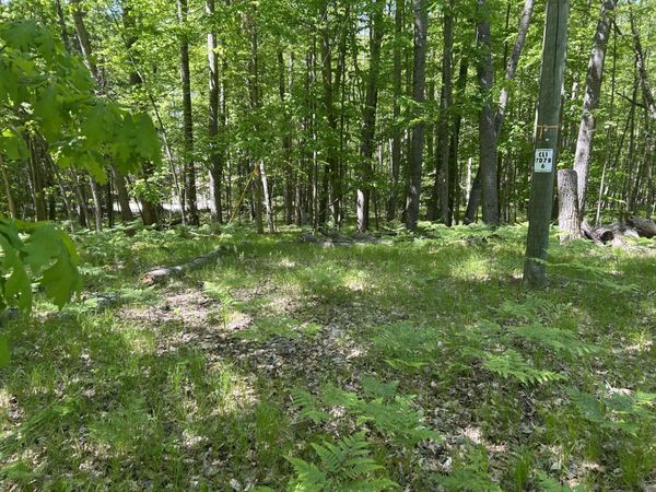 8297 Highland Trail, Unit 349, Canadian Lakes, MI 49346