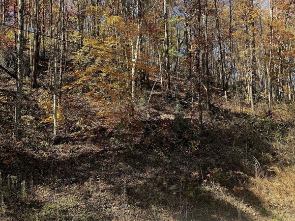 Lot 0008 Emerald Springs Loop, Sevierville, TN 37862