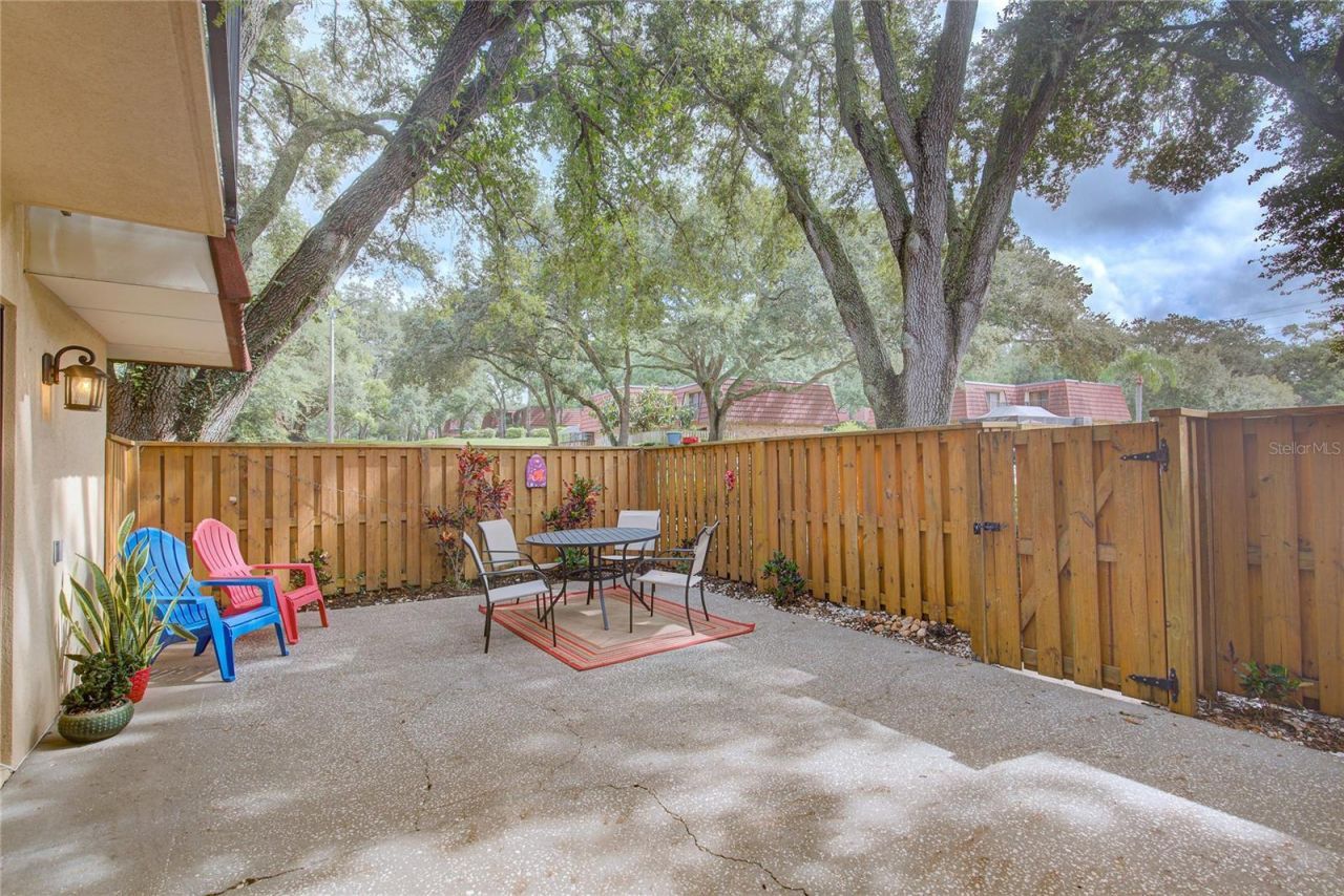 2612 2nd Court , Palm Harbor, FL 34684 Photo