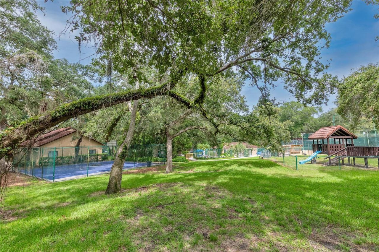 2612 2nd Court , Palm Harbor, FL 34684 Photo