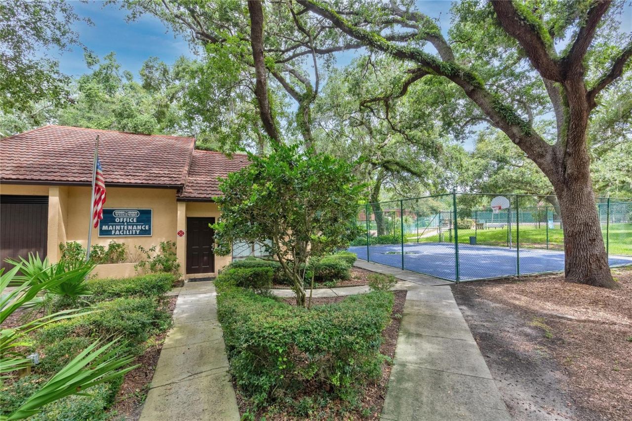 2612 2nd Court , Palm Harbor, FL 34684 Photo