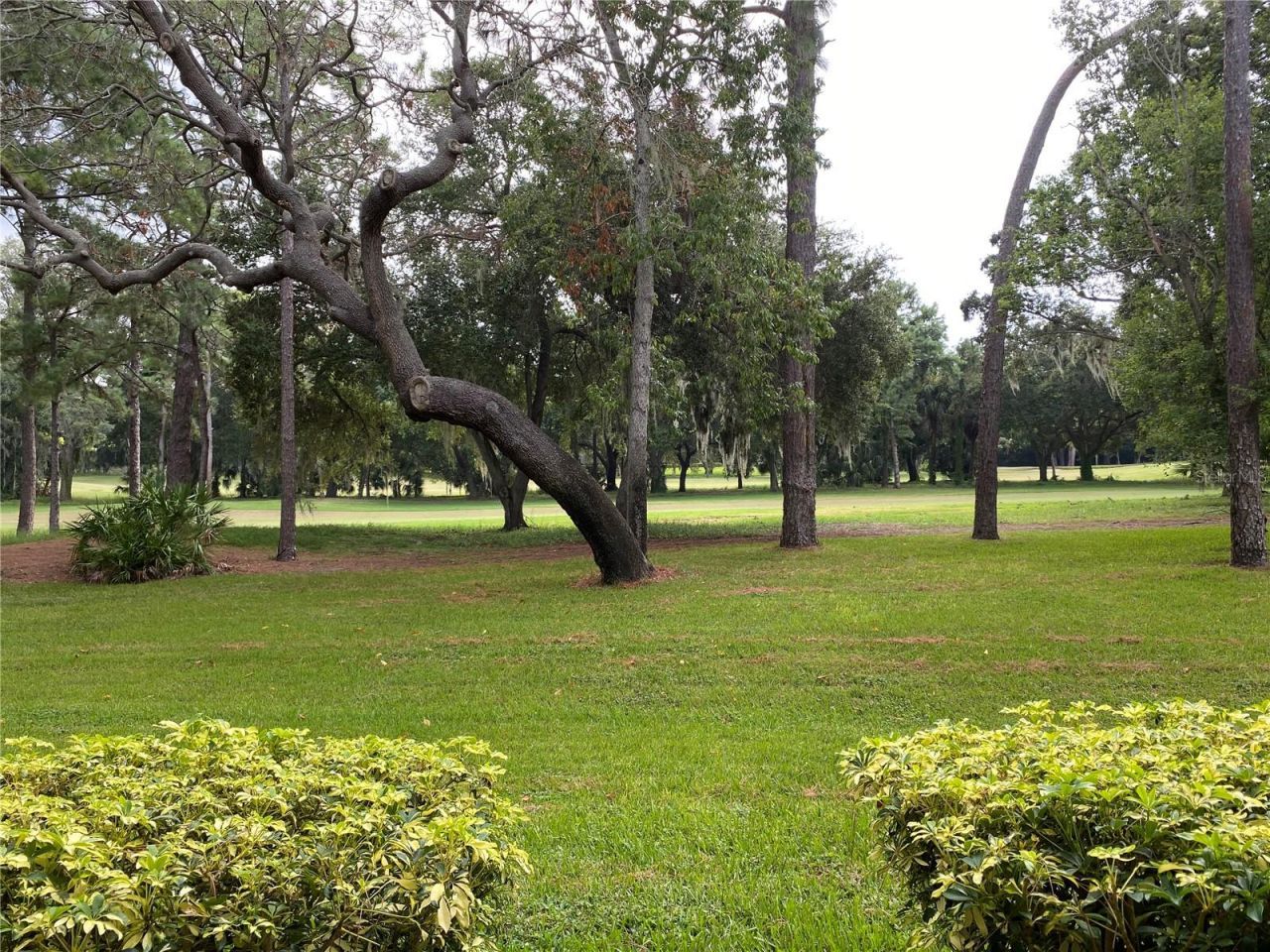 36750 Us Highway 19 N, Unit 19-115, Palm Harbor, FL 34683 Photo