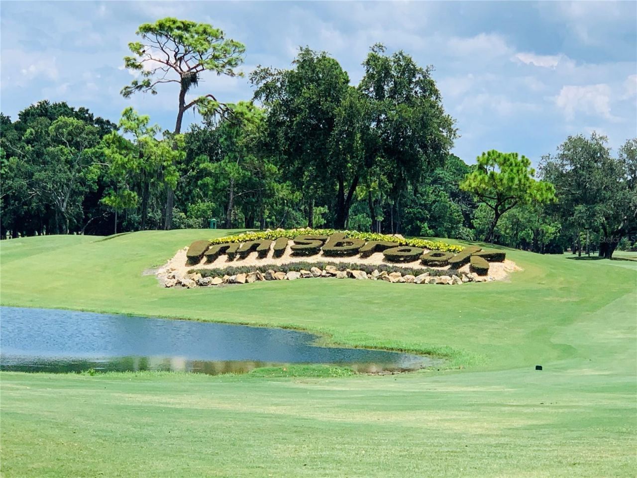 36750 Us Highway 19 N, Unit 19-115, Palm Harbor, FL 34683 Photo