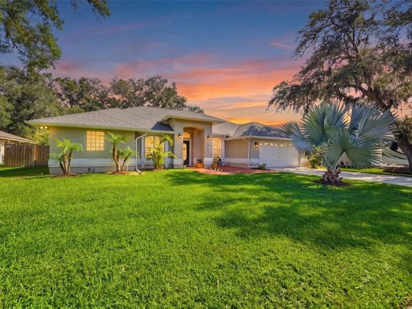 2511 VINY COURT, TAMPA, FL 33618