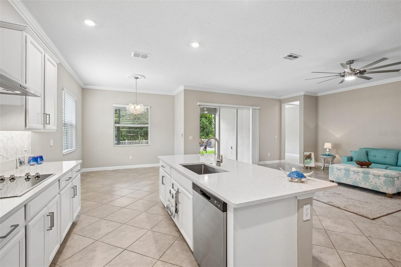 11040 Banyan Breeze Boulevard, Land O Lakes, FL 34638 Photo