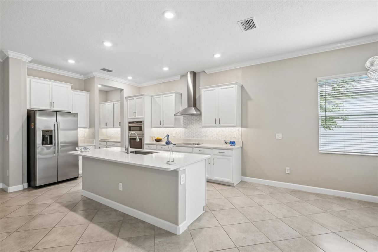 11040 Banyan Breeze Boulevard, Land O Lakes, FL 34638 Photo