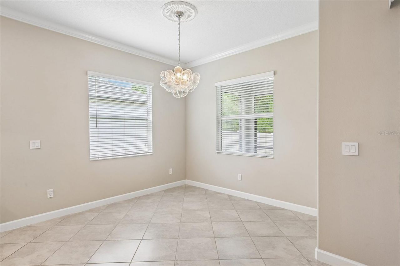 11040 Banyan Breeze Boulevard, Land O Lakes, FL 34638 Photo