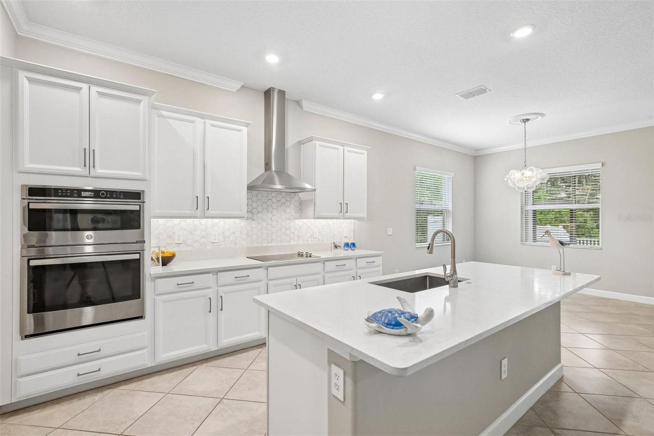 11040 Banyan Breeze Boulevard, Land O Lakes, FL 34638 Photo