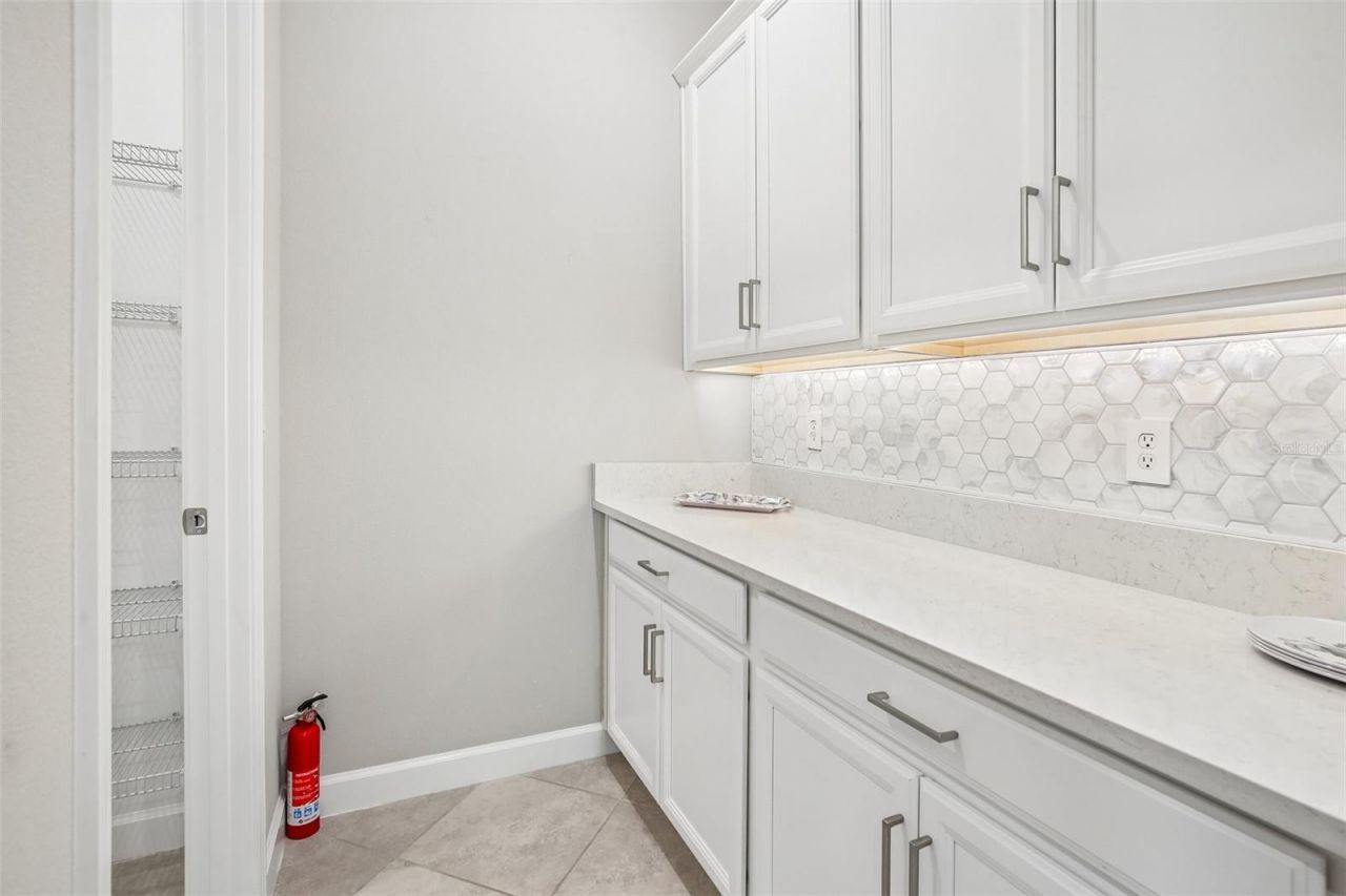 11040 Banyan Breeze Boulevard, Land O Lakes, FL 34638 Photo