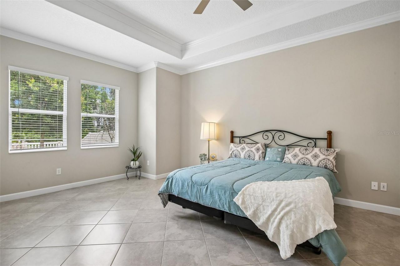 11040 Banyan Breeze Boulevard, Land O Lakes, FL 34638 Photo