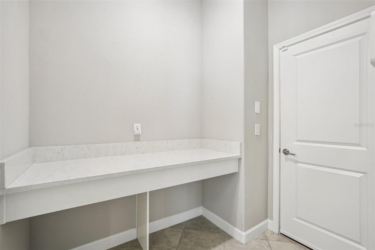 11040 Banyan Breeze Boulevard, Land O Lakes, FL 34638 Photo