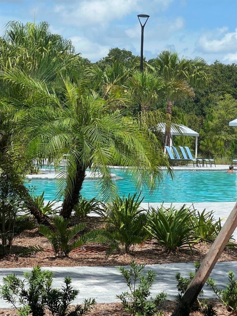 11040 Banyan Breeze Boulevard, Land O Lakes, FL 34638 Photo