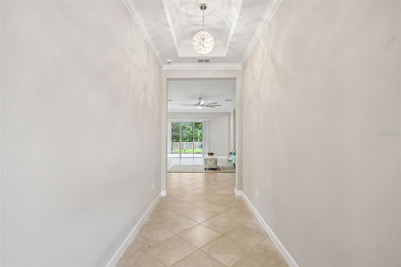 11040 Banyan Breeze Boulevard, Land O Lakes, FL 34638 Photo