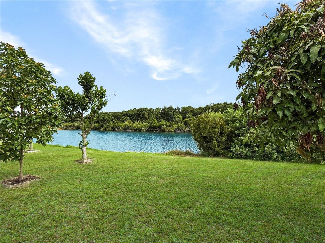 7115 Forest Mere Drive, Riverview, FL 33578 Photo