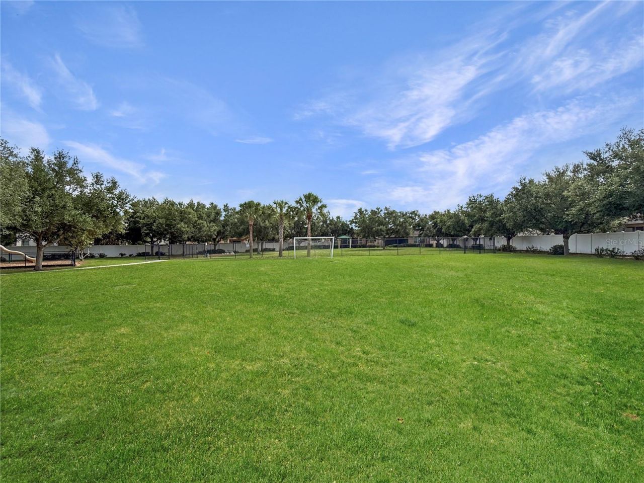 7115 Forest Mere Drive, Riverview, FL 33578 Photo