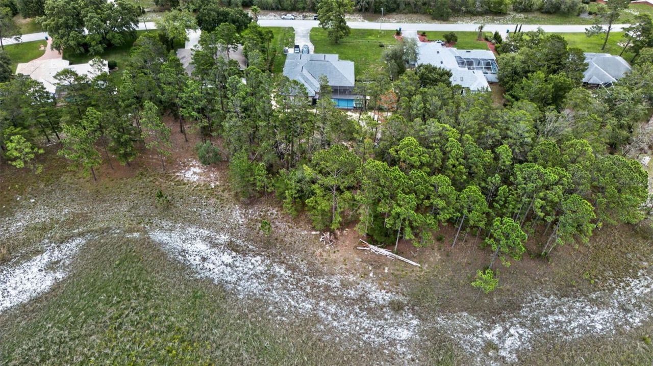 9363 Tooke Shore Drive, Weeki Wachee, FL 34613 Photo
