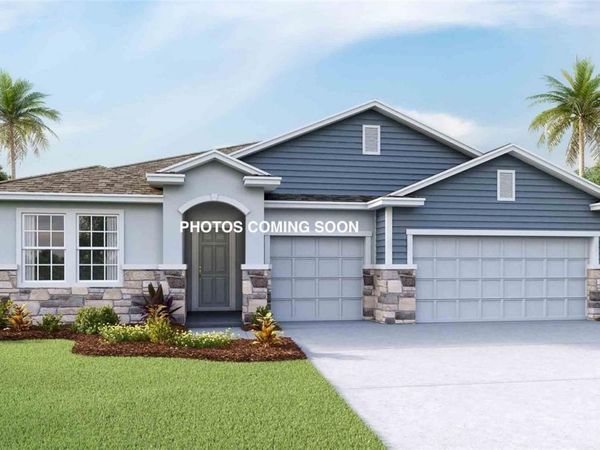 32337 CONCHSHELL SAIL STREET , WESLEY CHAPEL, FL 33545