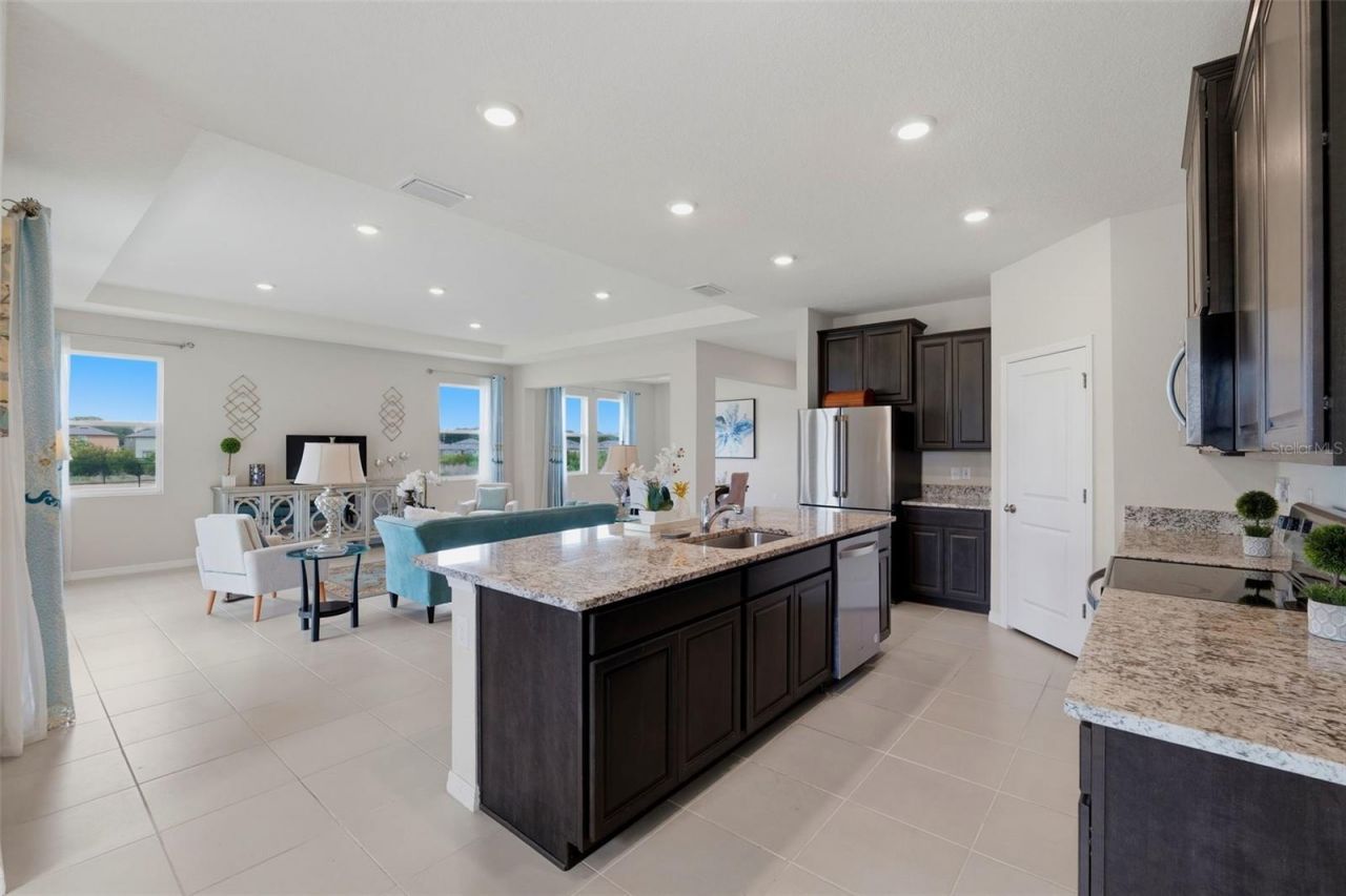 32337 Conchshell Sail Street, Wesley Chapel, FL 33545 Photo