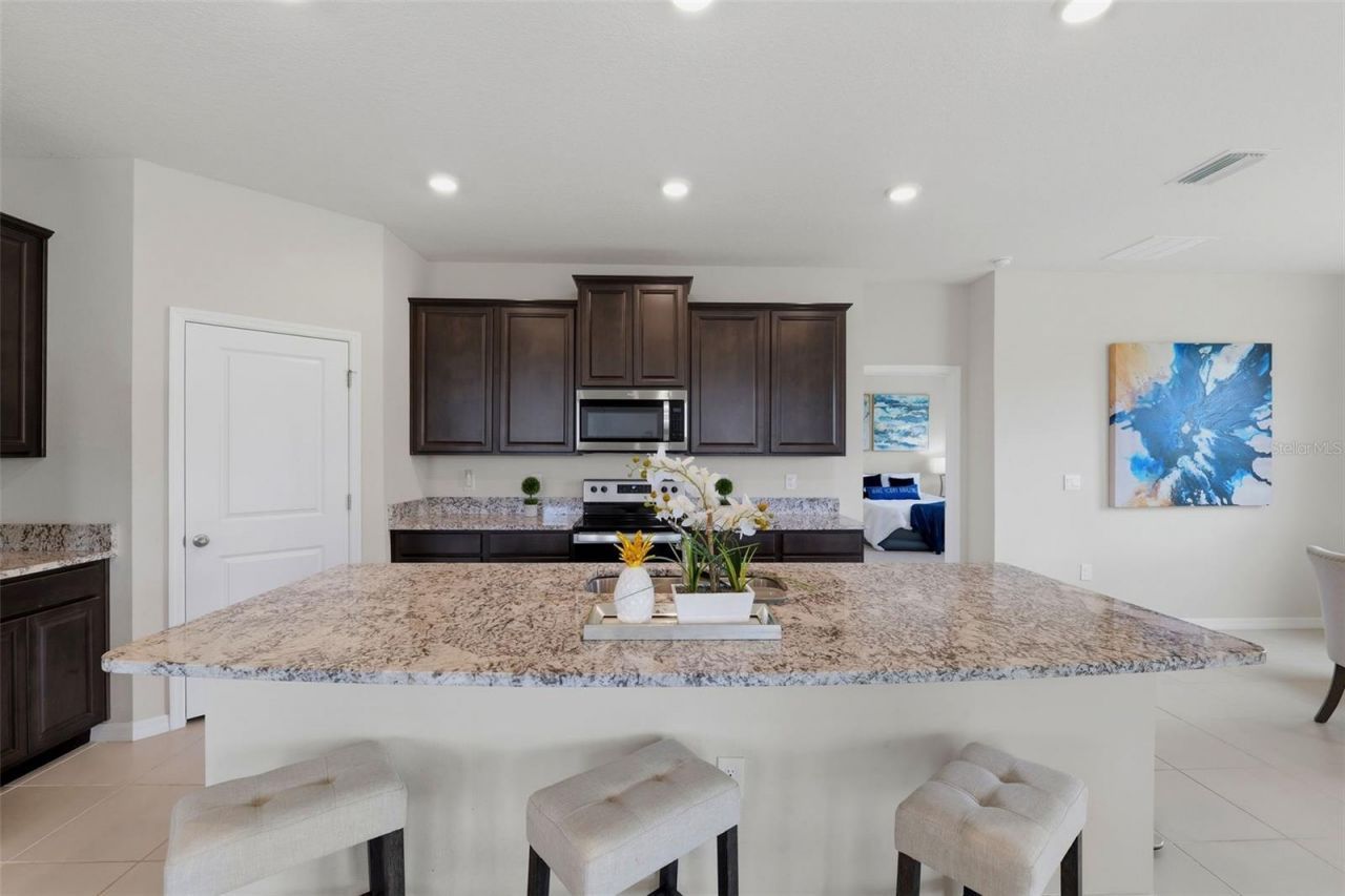 32337 Conchshell Sail Street, Wesley Chapel, FL 33545 Photo