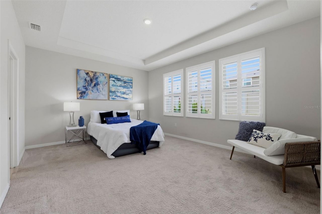 32337 Conchshell Sail Street, Wesley Chapel, FL 33545 Photo