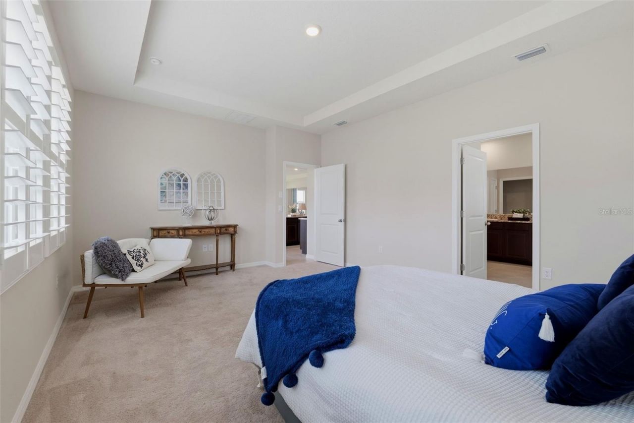 32337 Conchshell Sail Street, Wesley Chapel, FL 33545 Photo