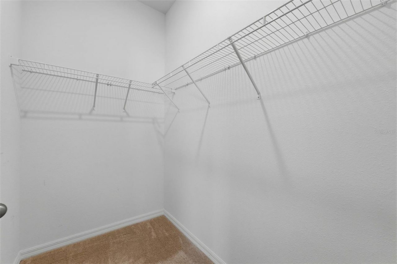 32337 Conchshell Sail Street, Wesley Chapel, FL 33545 Photo