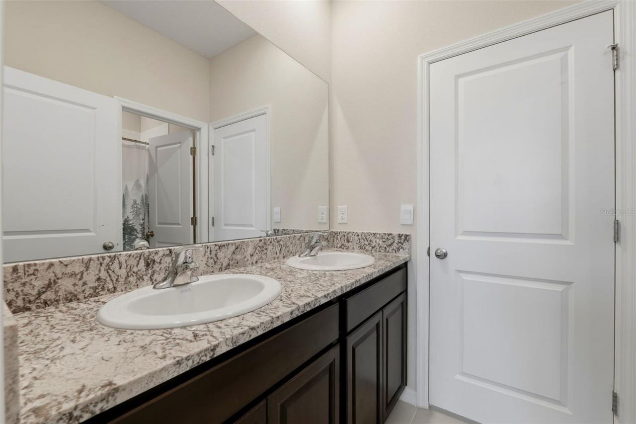 32337 Conchshell Sail Street, Wesley Chapel, FL 33545 Photo