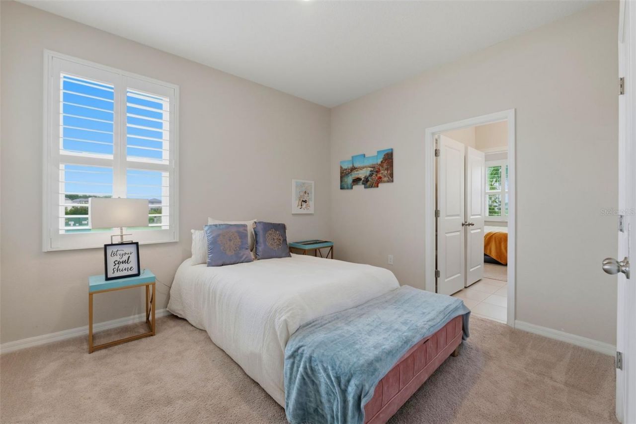 32337 Conchshell Sail Street, Wesley Chapel, FL 33545 Photo