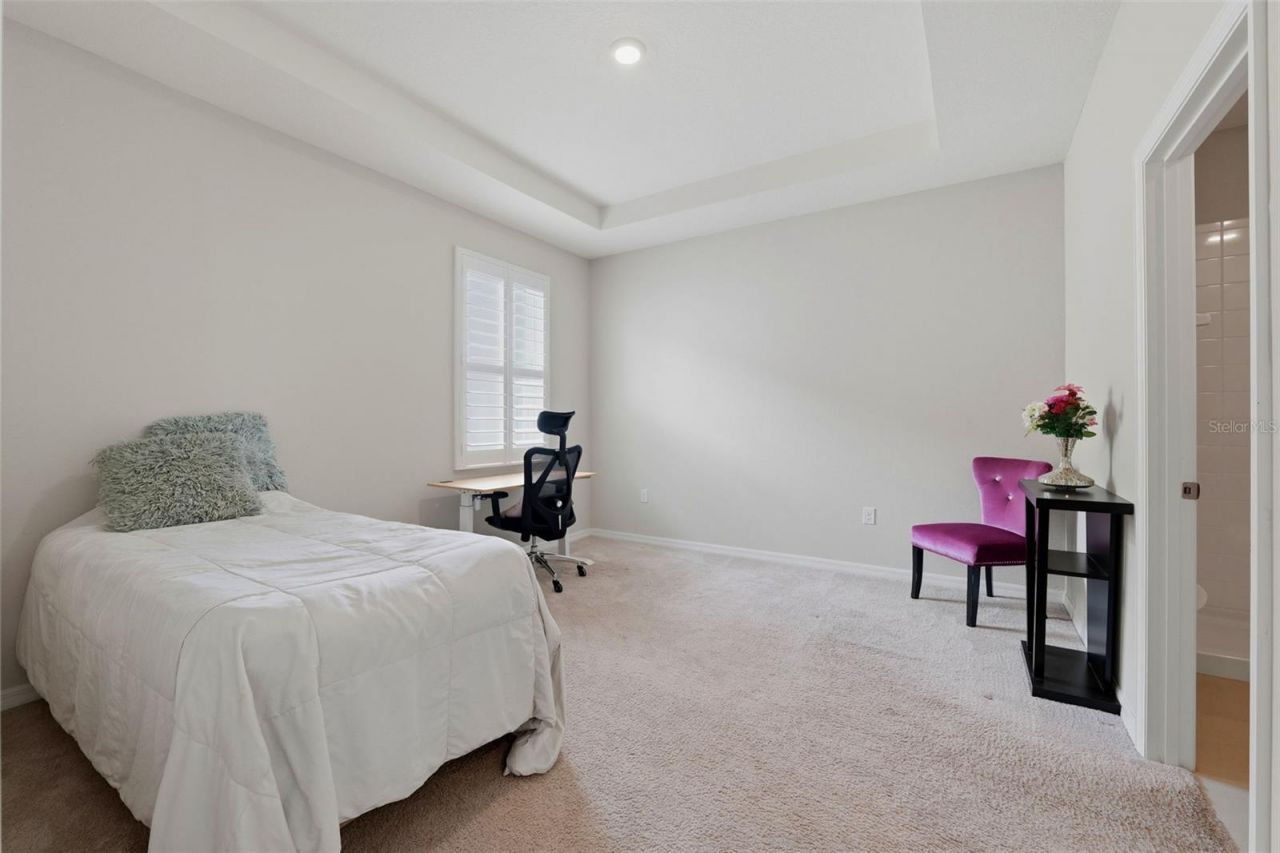 32337 Conchshell Sail Street, Wesley Chapel, FL 33545 Photo