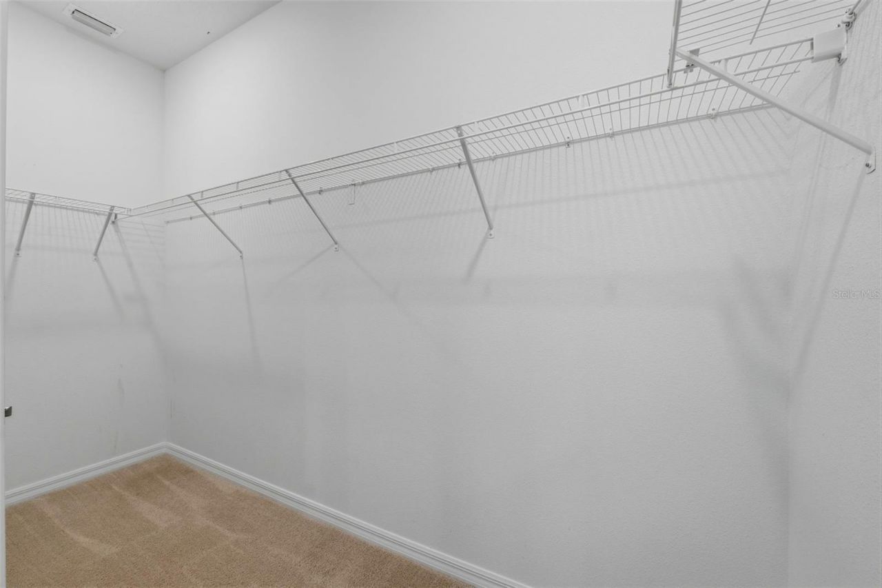 32337 Conchshell Sail Street, Wesley Chapel, FL 33545 Photo