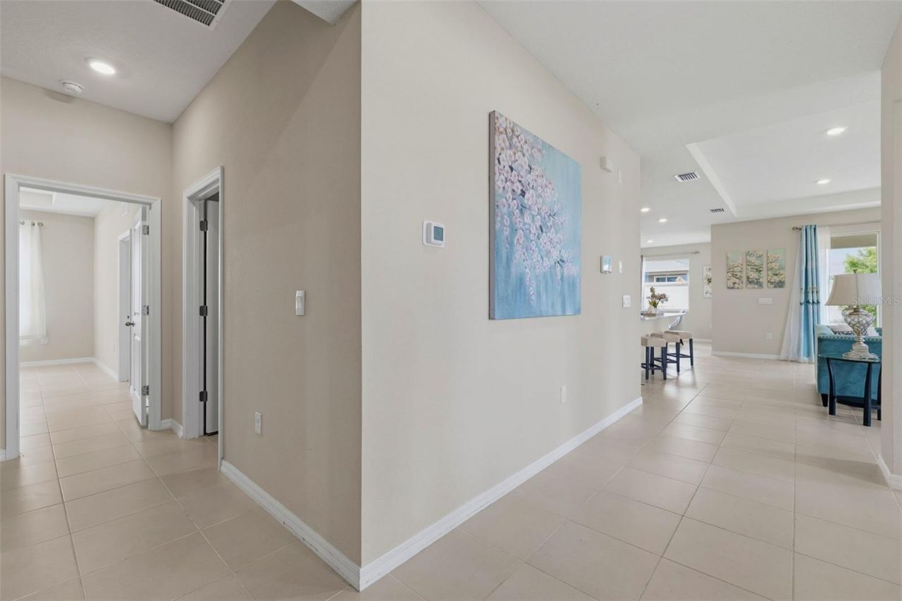 32337 Conchshell Sail Street, Wesley Chapel, FL 33545 Photo