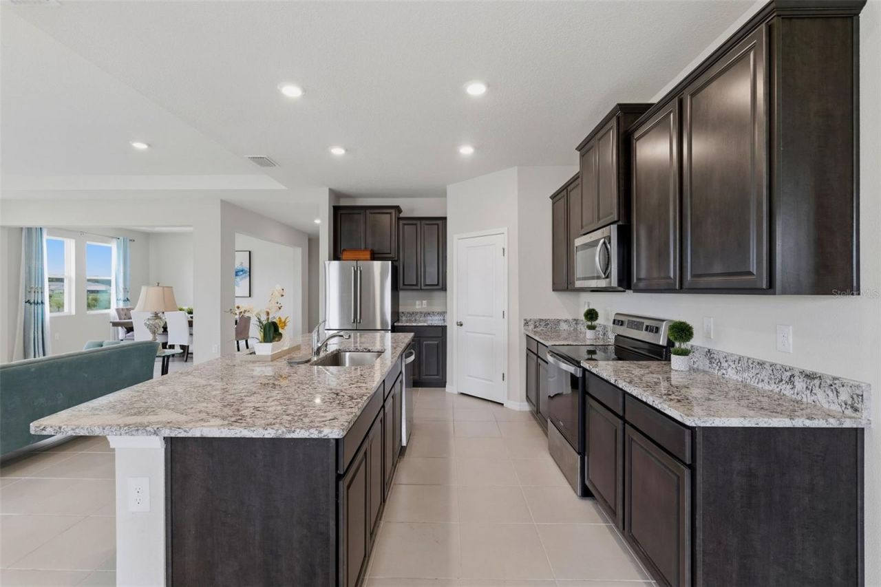 32337 Conchshell Sail Street, Wesley Chapel, FL 33545 Photo