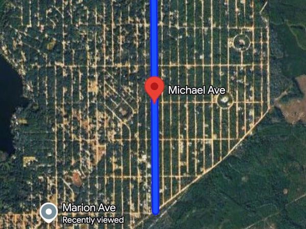 MICHAEL AVE , INTERLACHEN, FL 32148