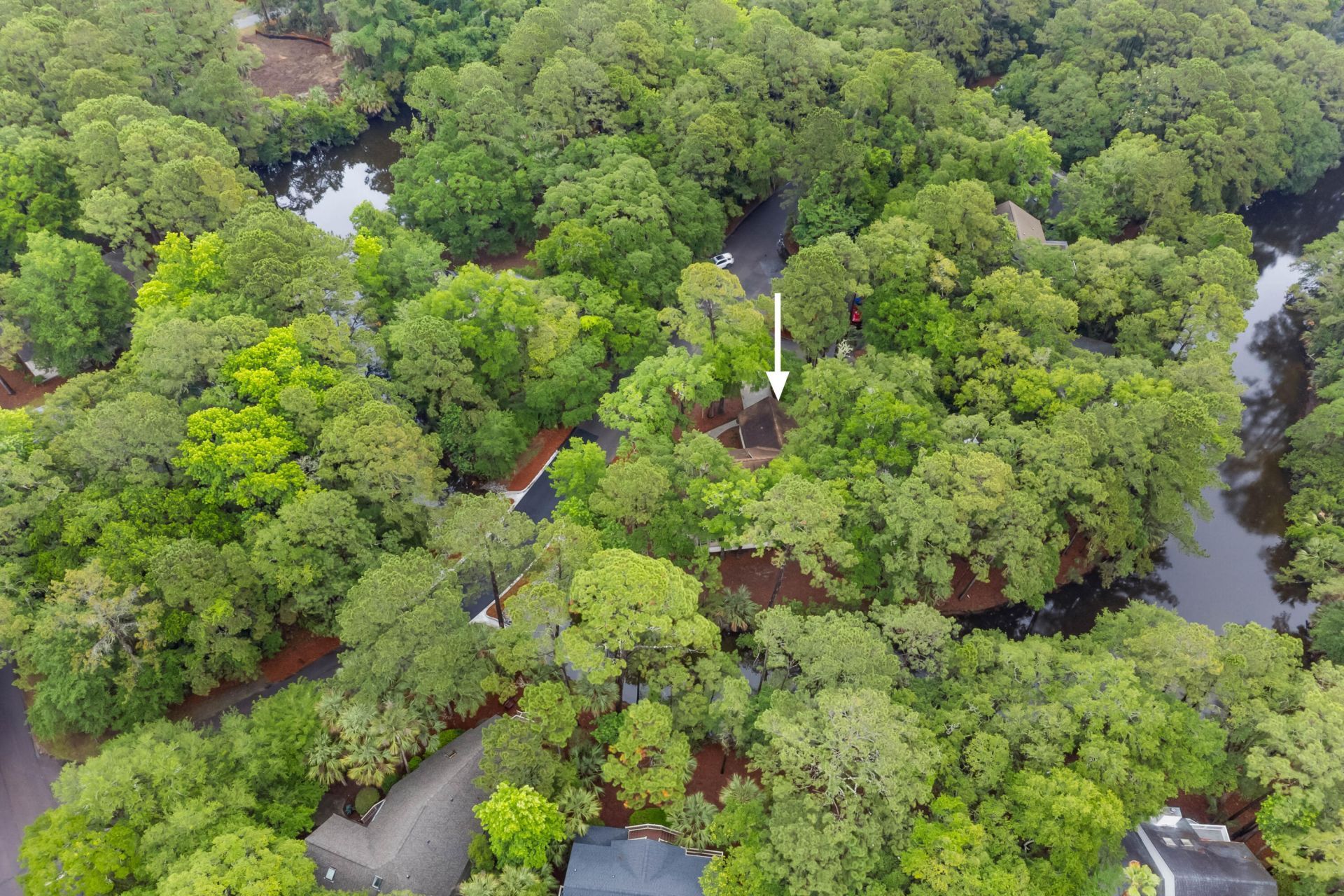 2711 Old Forest Photo 48