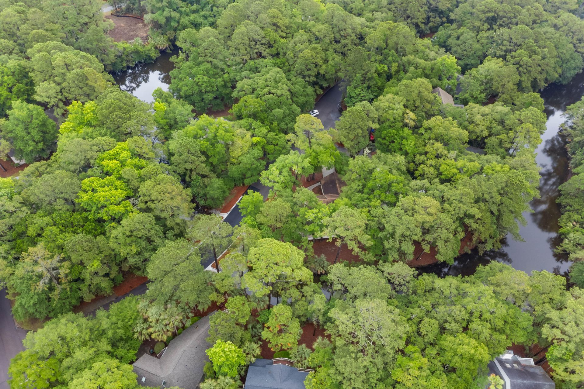 2711 Old Forest Photo 49
