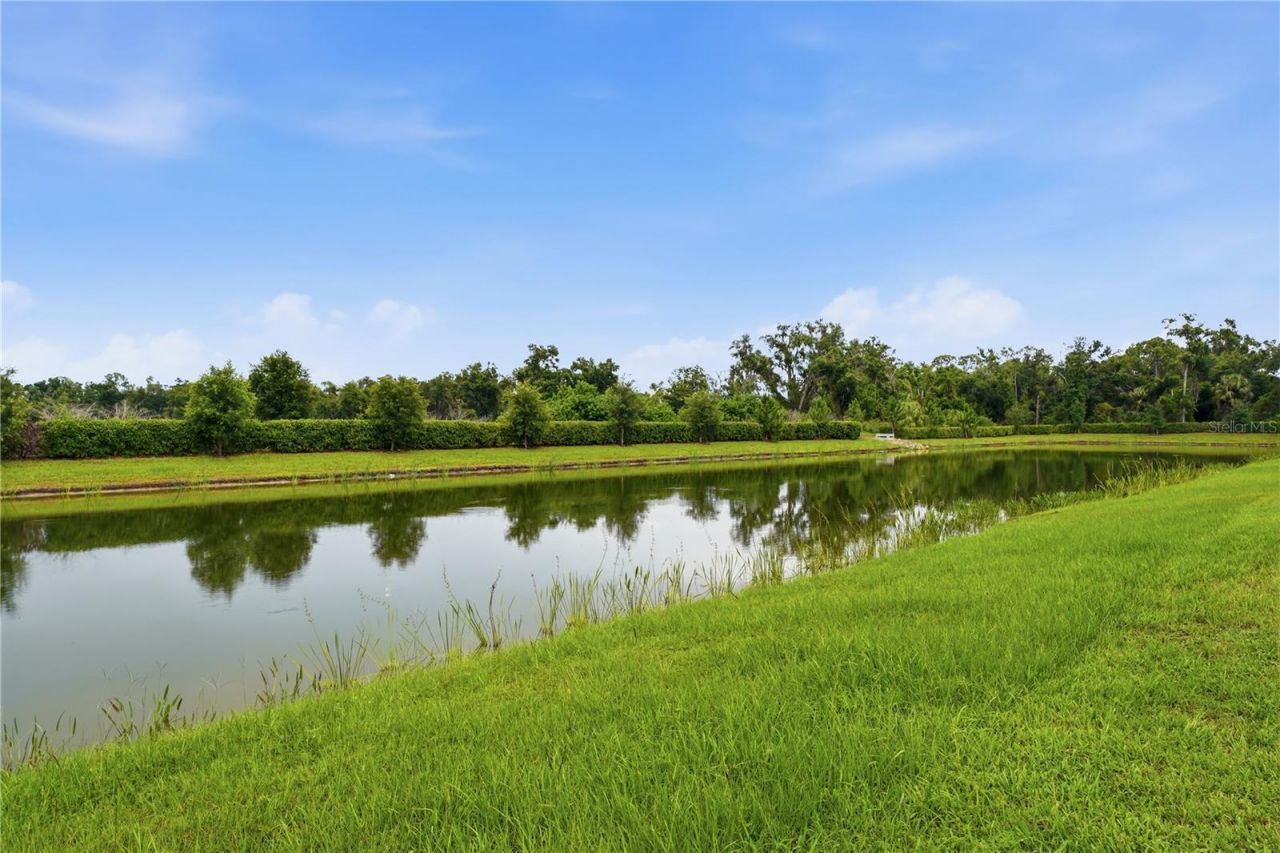 11916 Richmond Trail , Parrish, FL 34219 Photo