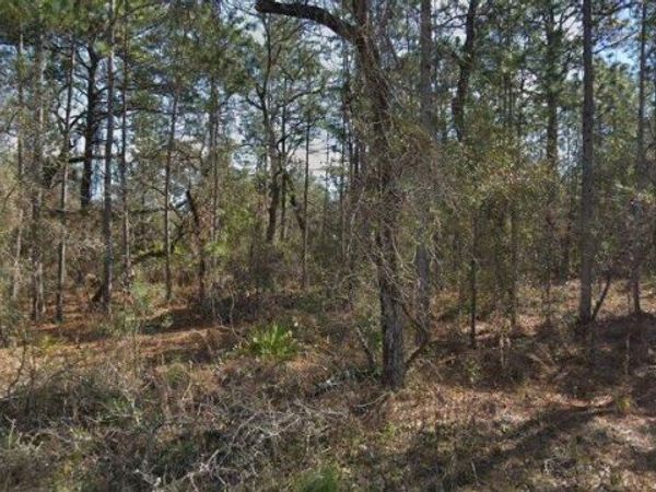 14390 ENGLISH SPARROW ROAD, WEEKI WACHEE, FL 34614