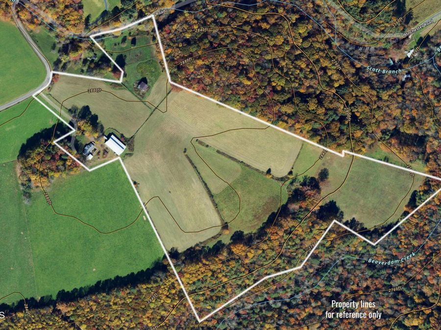 Property Image 4
