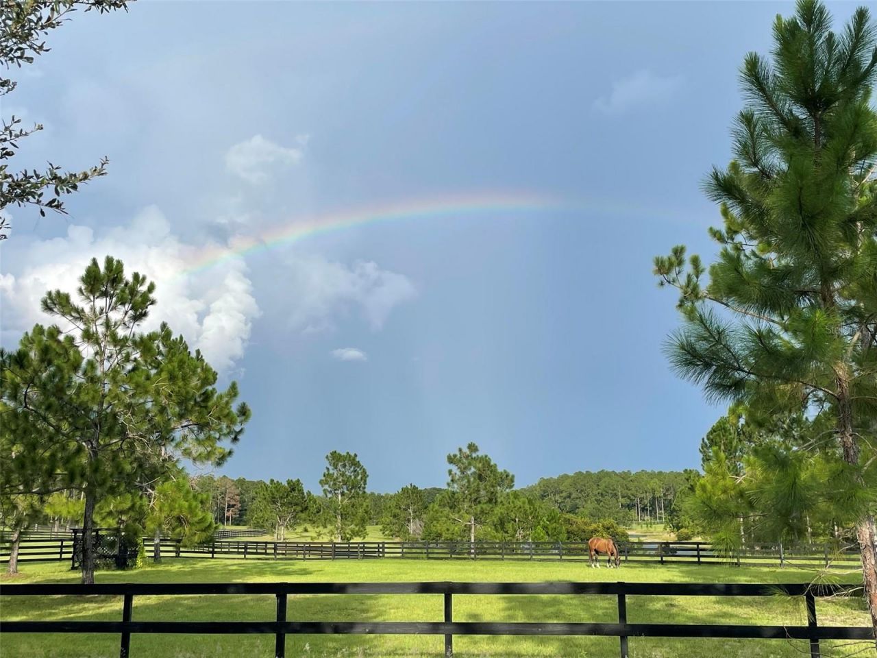 35620 Pinegate Trail, Eustis, FL 32736 Photo